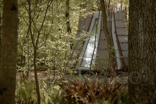 Budynok in the forest on VDNG, Kyiv - apartment by the day