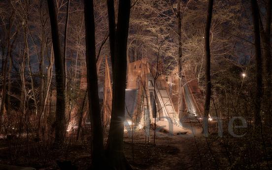 Budynok in the forest on VDNG, Kyiv - apartment by the day