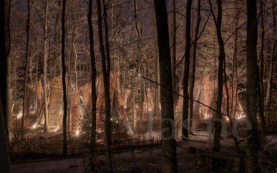Budynok in the forest on VDNG, Kyiv - apartment by the day