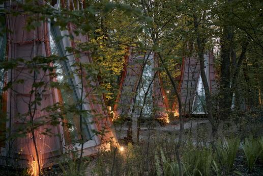 Budynok in the forest on VDNG, Kyiv - apartment by the day