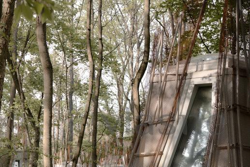 Budynok in the forest on VDNG, Kyiv - apartment by the day