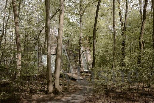 Budynok in the forest on VDNG, Kyiv - apartment by the day