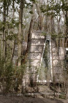 Budynok in the forest on VDNG, Kyiv - apartment by the day
