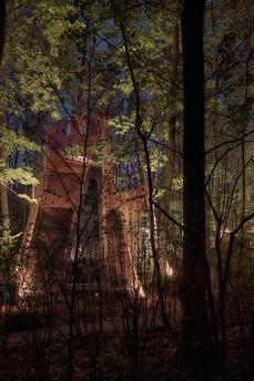 Budynok in the forest on VDNG, Kyiv - apartment by the day