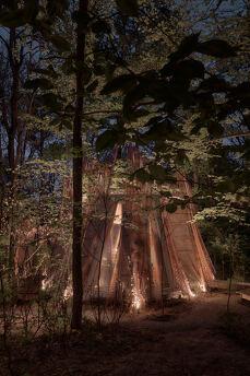 House in the forest at VDNG, Kyiv - apartment by the day