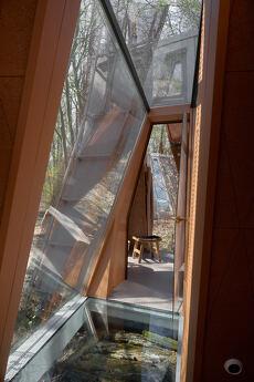 House in the forest at VDNG, Kyiv - apartment by the day