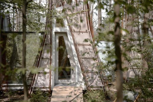 House in the forest at VDNG, Kyiv - apartment by the day
