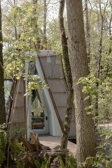 House for two in the forest, Kyiv - apartment by the day