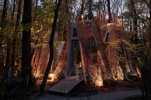 House for two in the forest, Kyiv - apartment by the day