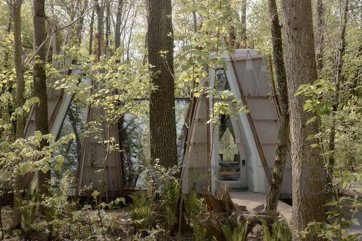 House for two in the forest, Kyiv - apartment by the day