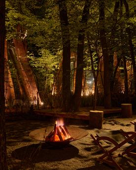 Budynok in the forest on VDNG, Kyiv - apartment by the day