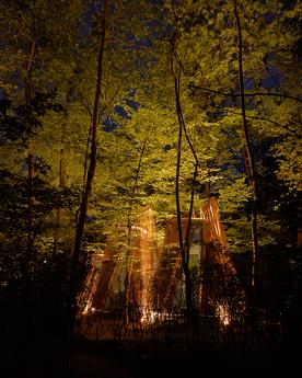 Budynok in the forest on VDNG, Kyiv - apartment by the day