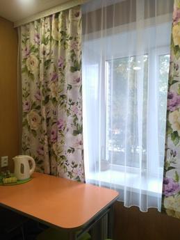 Cosy, perfectly clean apartment, Novosibirsk - apartment by the day