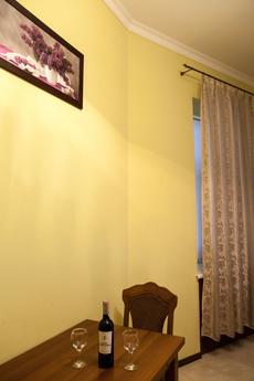 VIP One-bedroom apartment in the center, Lviv - apartment by the day