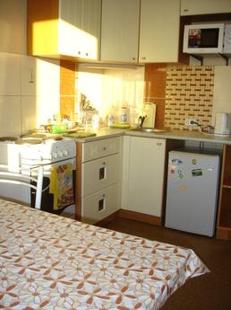 cozy and quiet apartment in the center, Tomsk - apartment by the day