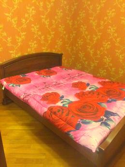 Comfortable apartment in the heart, Rostov-on-Don - apartment by the day