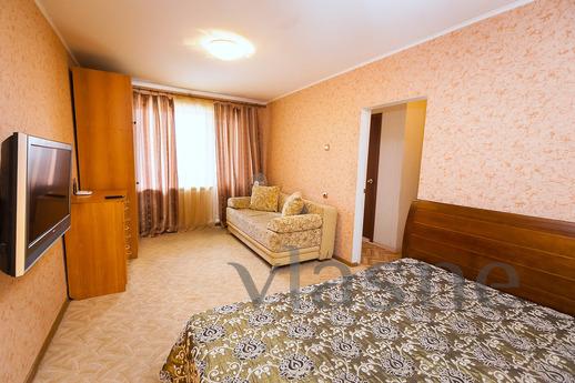 We offer you a one-bedroom apartment in the city center Novo