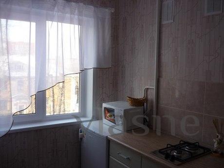 Comfortable apartment in the center !, Perm - apartment by the day