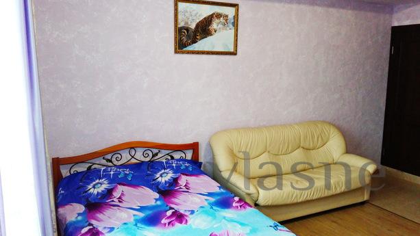 Violet daily rent, Moscow - apartment by the day