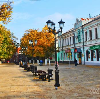 The historic center of Ryazan, Ryazan - apartment by the day