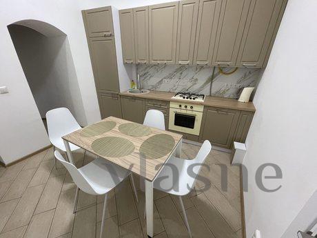 Avangard Mentsynskogo Apartment, Lviv - apartment by the day