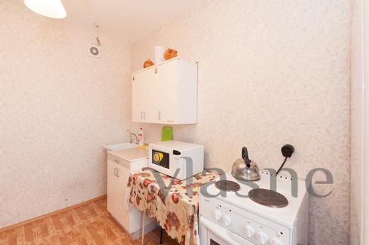 Marin Dom na Mendeleeva 31, Yekaterinburg - apartment by the day