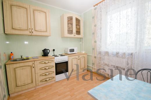 apartment next to the Palace of Culture, Voronezh - apartment by the day