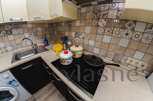 2 BR apartment. Center of the Left Bank, Voronezh - apartment by the day