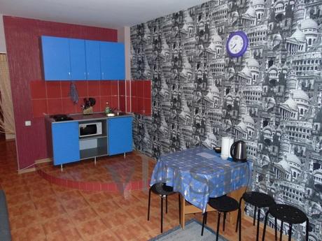 One bedroom apartment in the city center, Barnaul - apartment by the day