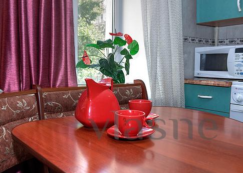 Large apartment in the center, Saint Petersburg - apartment by the day