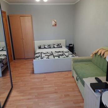 1 room apartment on Raiduzhniy, Skymol row, Kyiv - apartment by the day