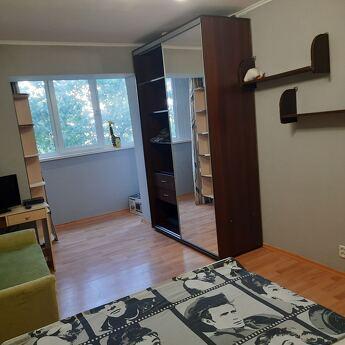 1 room apartment on Raiduzhniy, Skymol row, Kyiv - apartment by the day