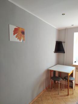 1 room apartment on Raiduzhniy, Skymol row, Kyiv - apartment by the day