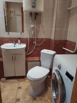 1 room apartment on Raiduzhniy, Skymol row, Kyiv - apartment by the day