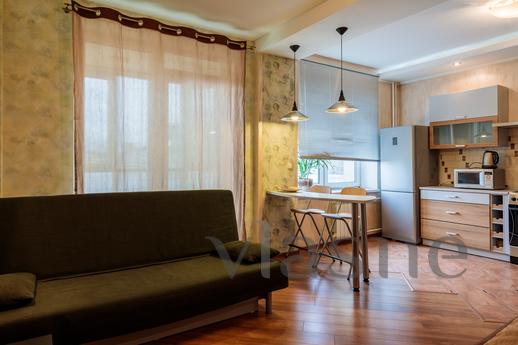 One-room apartments on Gorkovskaya, Saint Petersburg - apartment by the day