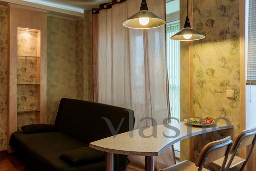 One-room apartments on Gorkovskaya, Saint Petersburg - apartment by the day