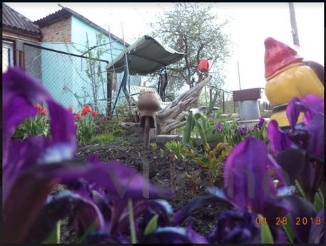 We rent a beautiful cozy house with all amenities in 5-7min.