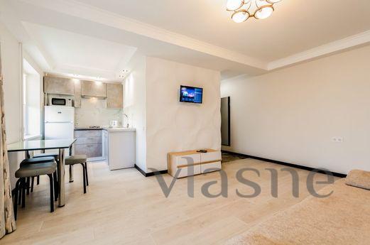 The apartment is renovated, Kyiv - apartment by the day