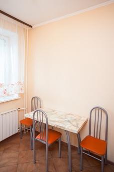 cozy apartment on the Serpukhovskaya, Moscow - apartment by the day