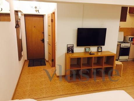 studio apartment for rent, Moscow - apartment by the day