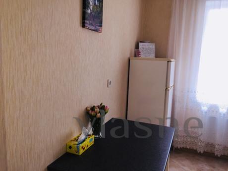 rent their one-room apartment, Kyiv - apartment by the day