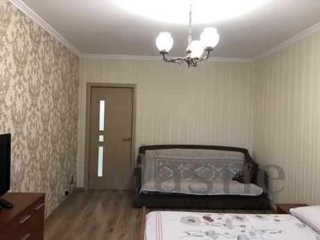 rent their one-room apartment, Kyiv - apartment by the day