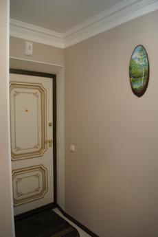 One-bedroom apartment near Neftegaz, Tyumen - apartment by the day