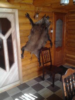 Аренда посуточная дома,дачи Ужгород, Ужгород - квартира посуточно