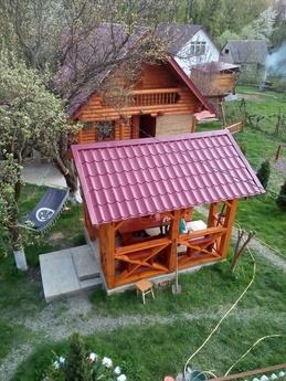 Аренда посуточная дома,дачи Ужгород, Ужгород - квартира посуточно