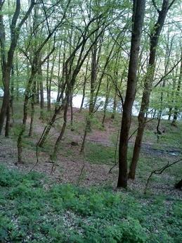 Аренда посуточная дома,дачи Ужгород, Ужгород - квартира посуточно