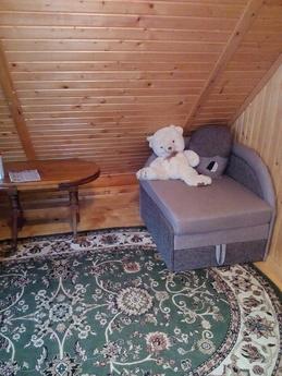 Аренда посуточная дома,дачи Ужгород, Ужгород - квартира посуточно