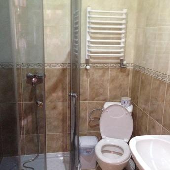 Detached house with separate rooms, Truskavets - apartment by the day