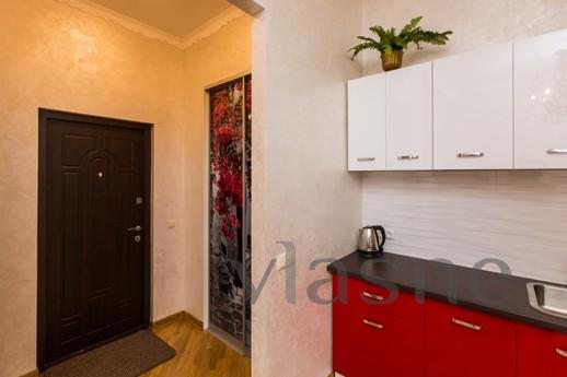 Cozy 1 bedroom apartment center, Lviv - apartment by the day