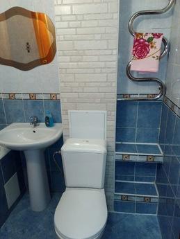 2 bedroom apartment for rent, Kyiv - apartment by the day